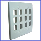 12 Port Decorative Dual Gang Wall Plate