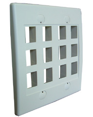 12 Port Decorative Dual Gang Wall Plate