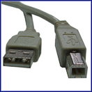 USB v2.0 Serial Data Cable AM-BM 3'