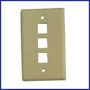 3 Port Wallplate