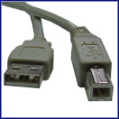 USB v2.0 Serial Data Cable AM-BM 6'